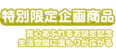 特別限定企画商品